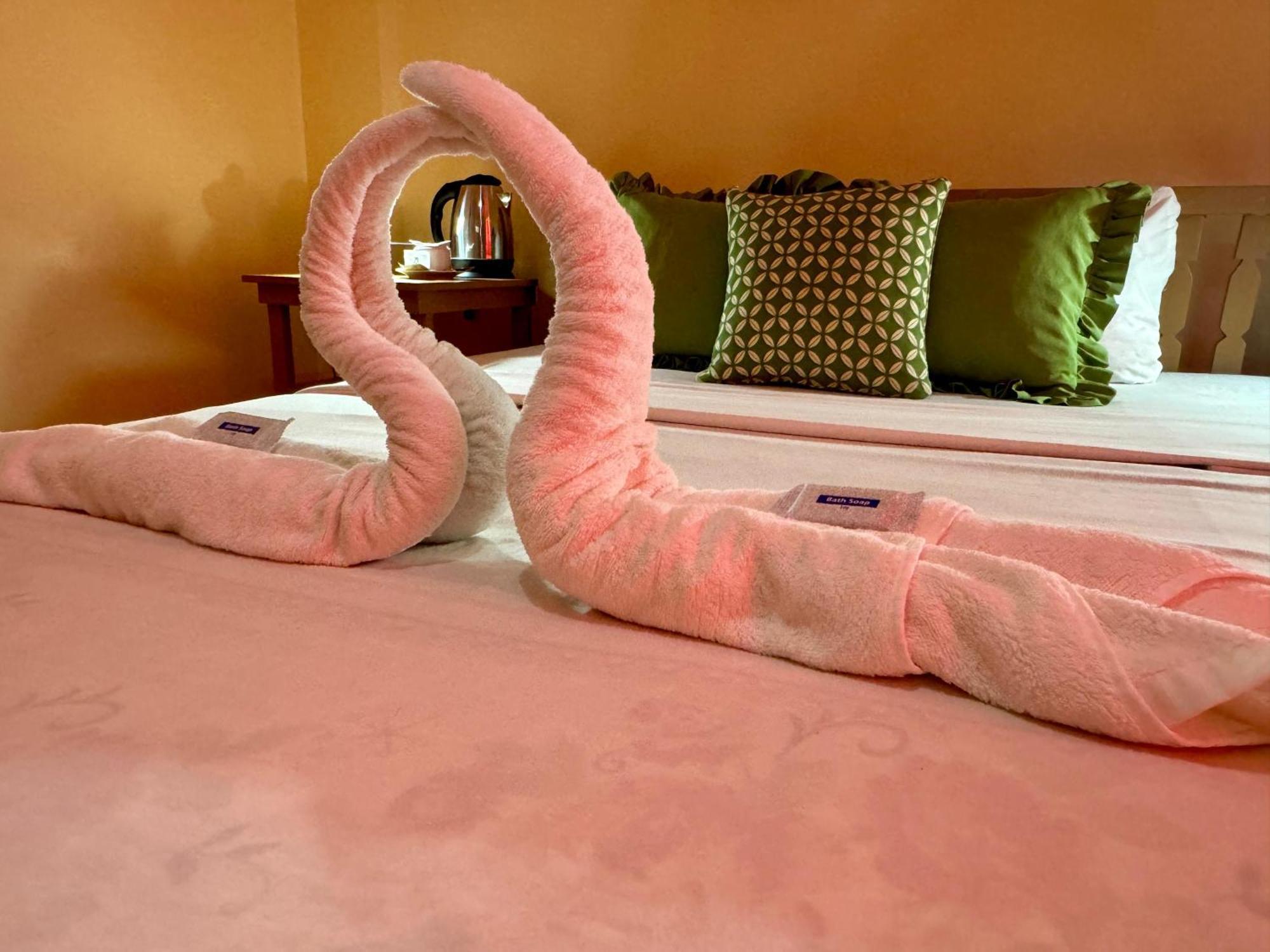 Ocean Breeze Inn Manoc-Manoc Rom bilde